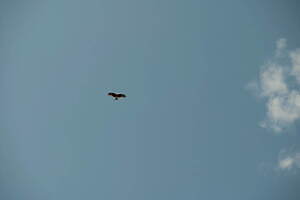 マスターピース(master-piece) 2021年春夏メンズコレクション  - 写真40