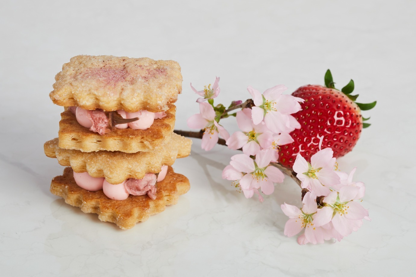 大丸東京店「クッキー同盟」