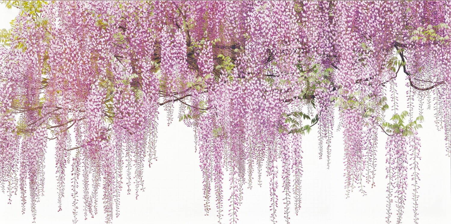 《無数の輝く生命に捧ぐ》(部分) 2011-13 色鉛筆/紙