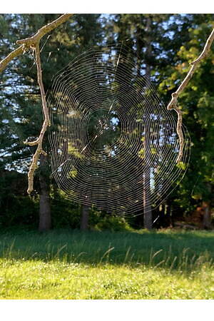 コーチ(COACH) 2021年春ウィメンズ&メンズコレクション  - 写真51