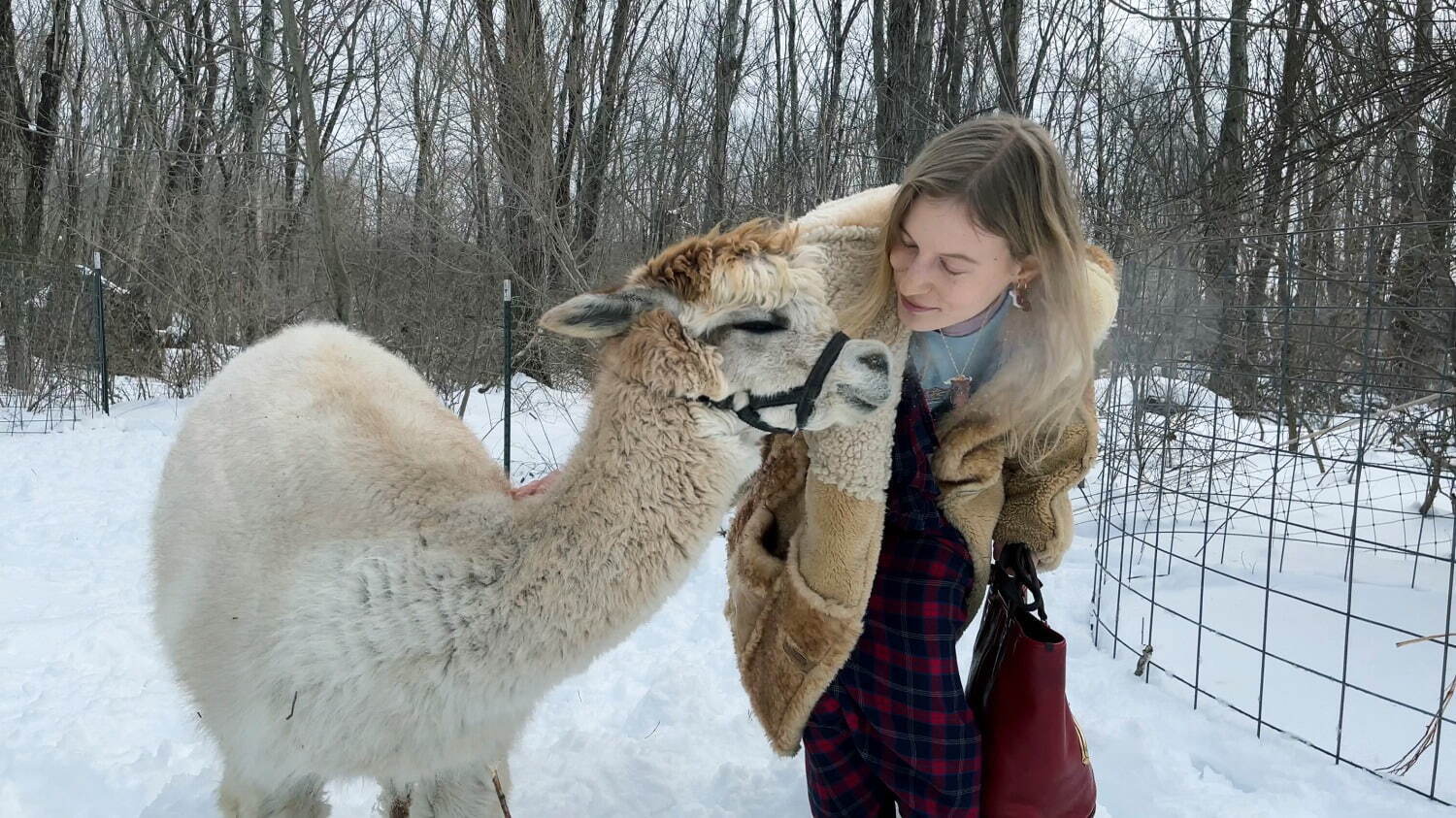 コーチ(COACH) 2021年秋ウィメンズ&メンズコレクション  - 写真37