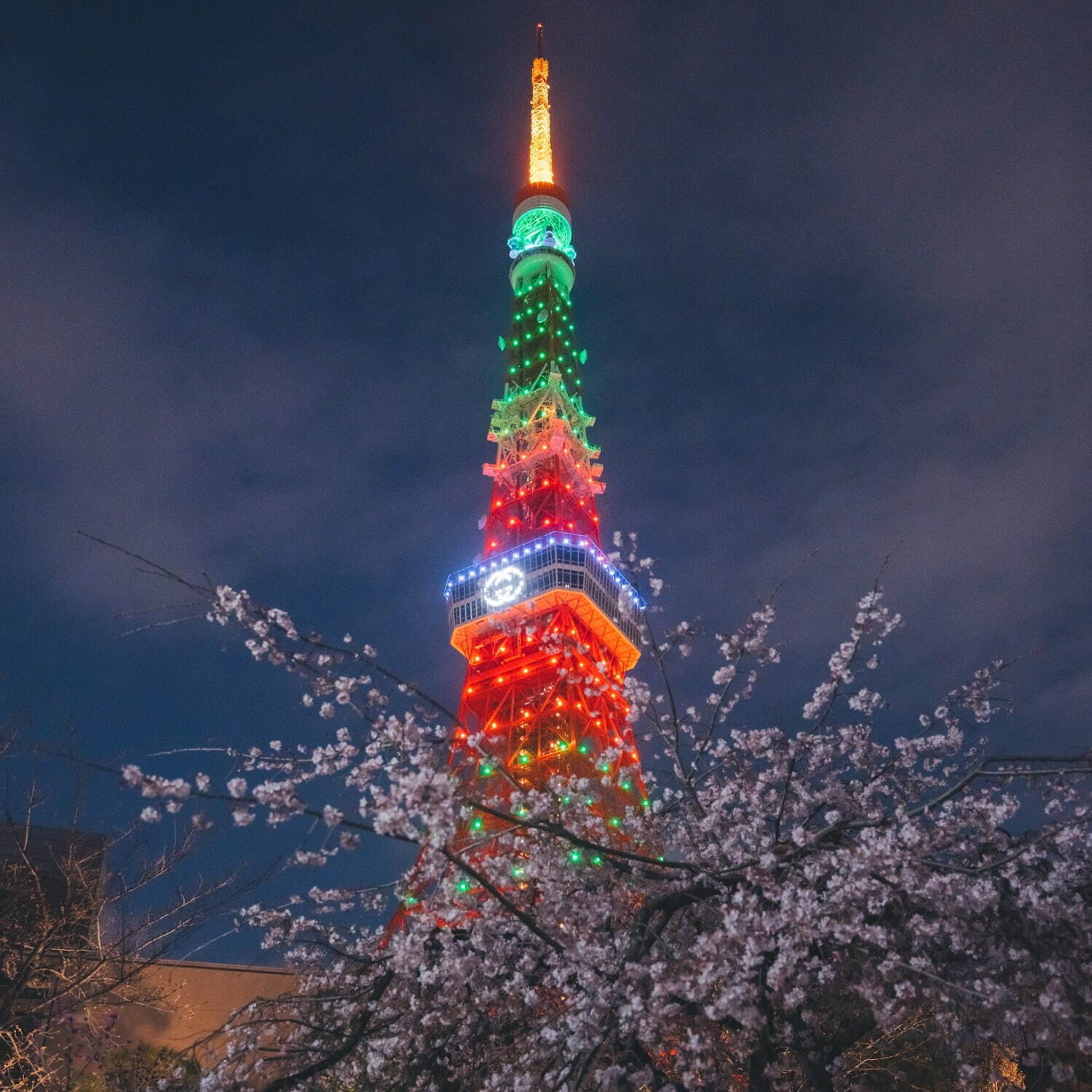 グッチ×東京タワーのライトアップ「グッチ ハナミ」お花見気分を楽しむ期間限定ARも | 写真