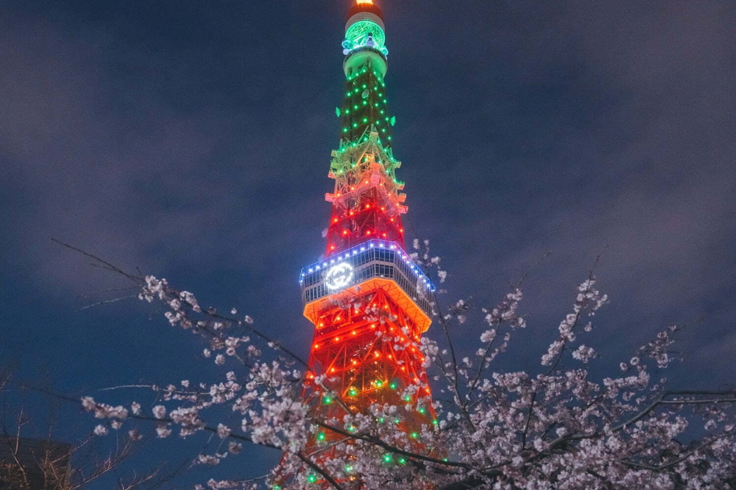 グッチ×東京タワーのライトアップ「グッチ ハナミ」お花見気分を