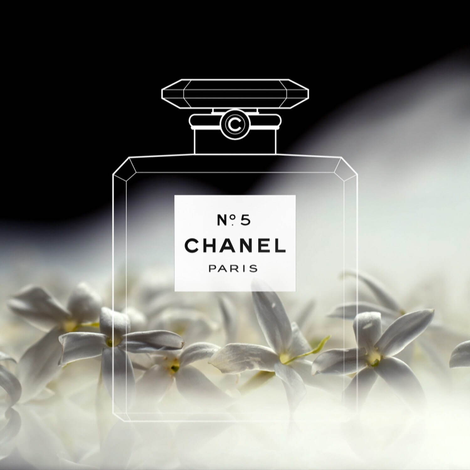 シャネル(CHANEL) シャネル N°5 インサイド シャネル｜写真4