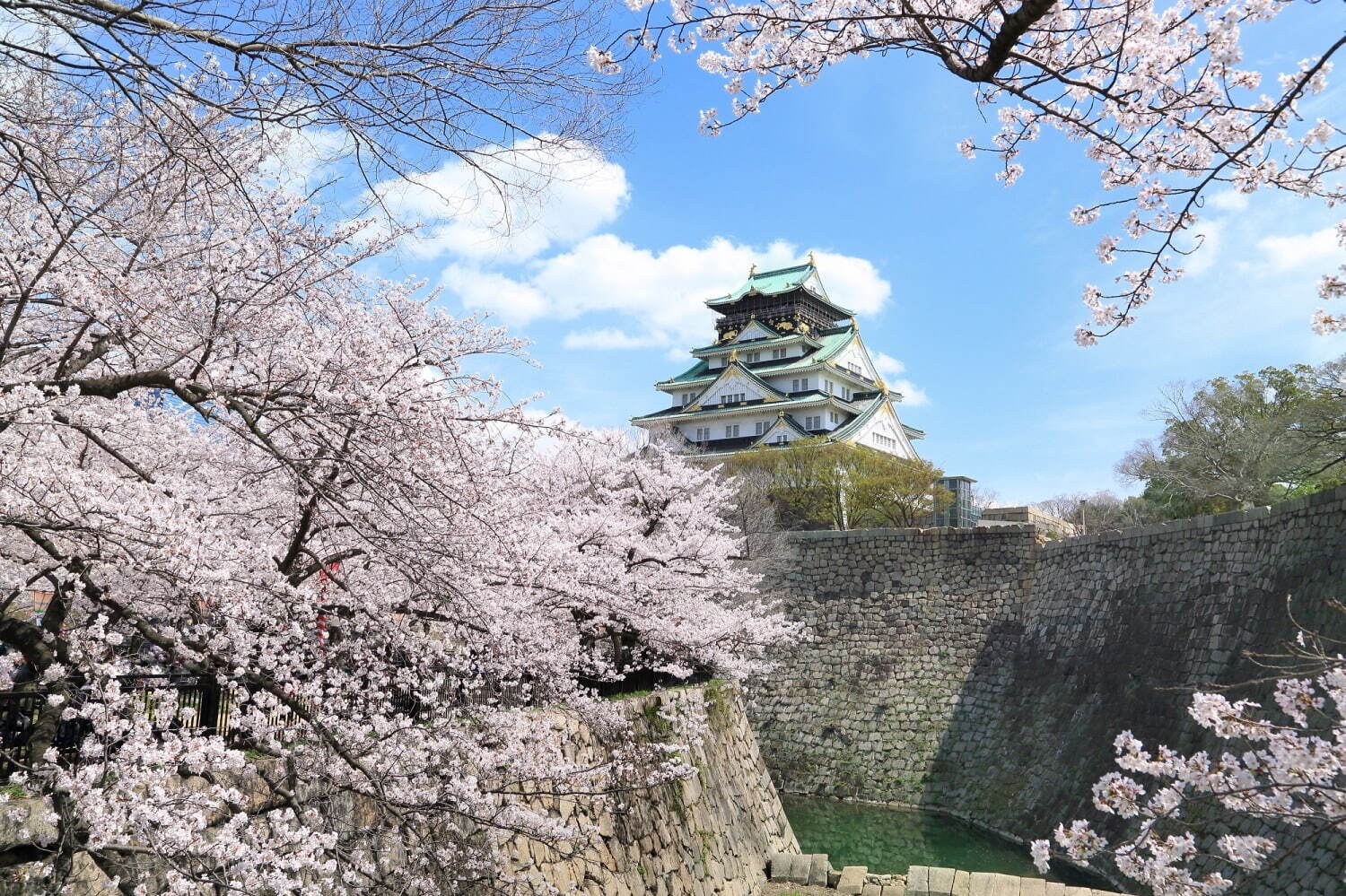 ホテルニューオータニ大阪の「新桜マカロン」こしあん入り桜マカロン＆味噌入り酒粕フレーバー｜写真8