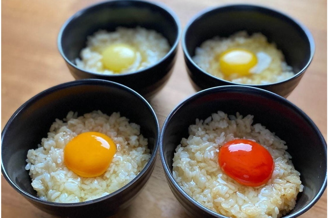 「幻の卵屋さん」