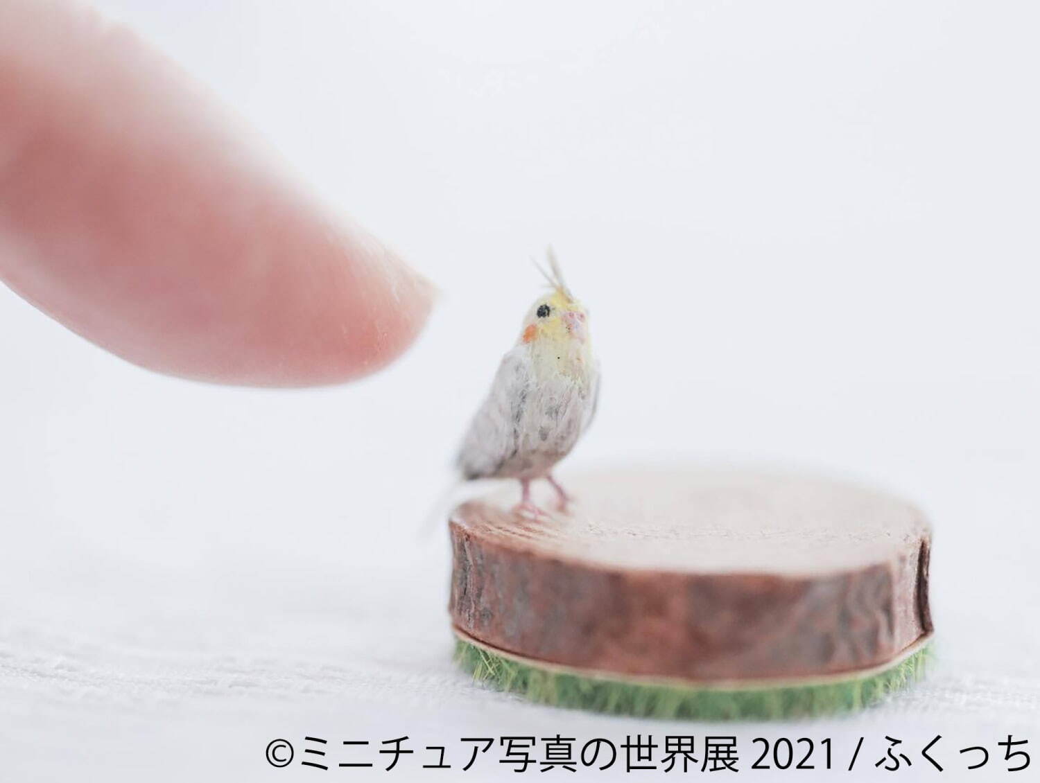 「ミニチュア写真の世界展 2021」静岡で、ミニチュア模型展示＆グッズ販売も｜写真7