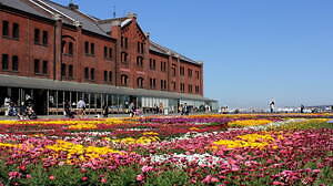 横浜赤レンガ倉庫「フラワー ガーデン 2021」パンジー咲くカラフル花畑&“食べられる”花スイーツも|写真1