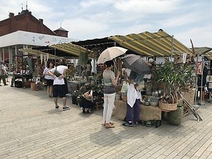 横浜赤レンガ倉庫「フラワー ガーデン 2021」パンジー咲くカラフル花畑&“食べられる”花スイーツも|写真15