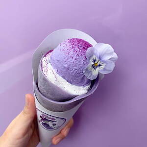 横浜赤レンガ倉庫「フラワー ガーデン 2021」パンジー咲くカラフル花畑&“食べられる”花スイーツも|写真2