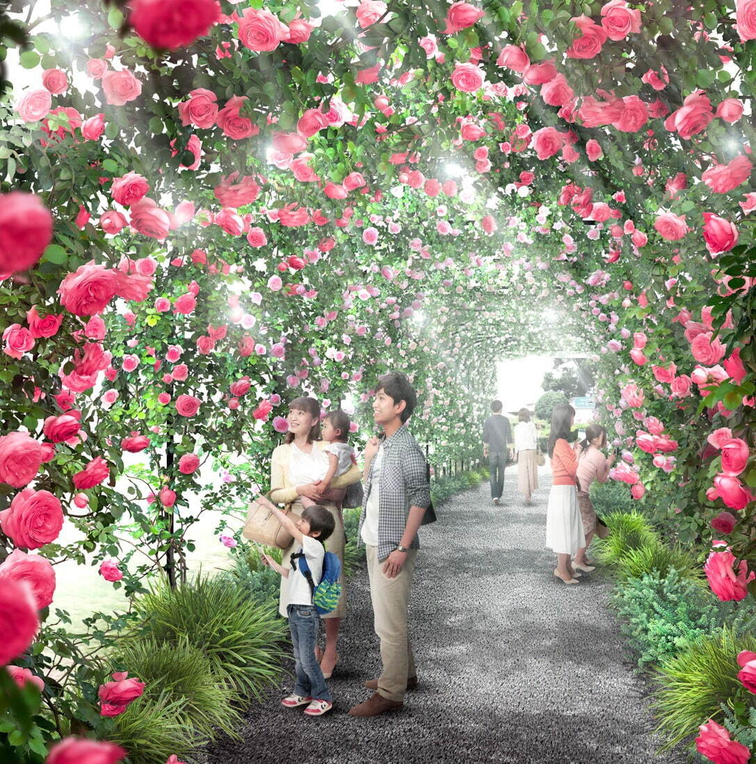 「いばらきフラワーパーク」国内屈指ローズガーデン＆360度薔薇に囲まれるトンネル、アクティビティも｜写真11