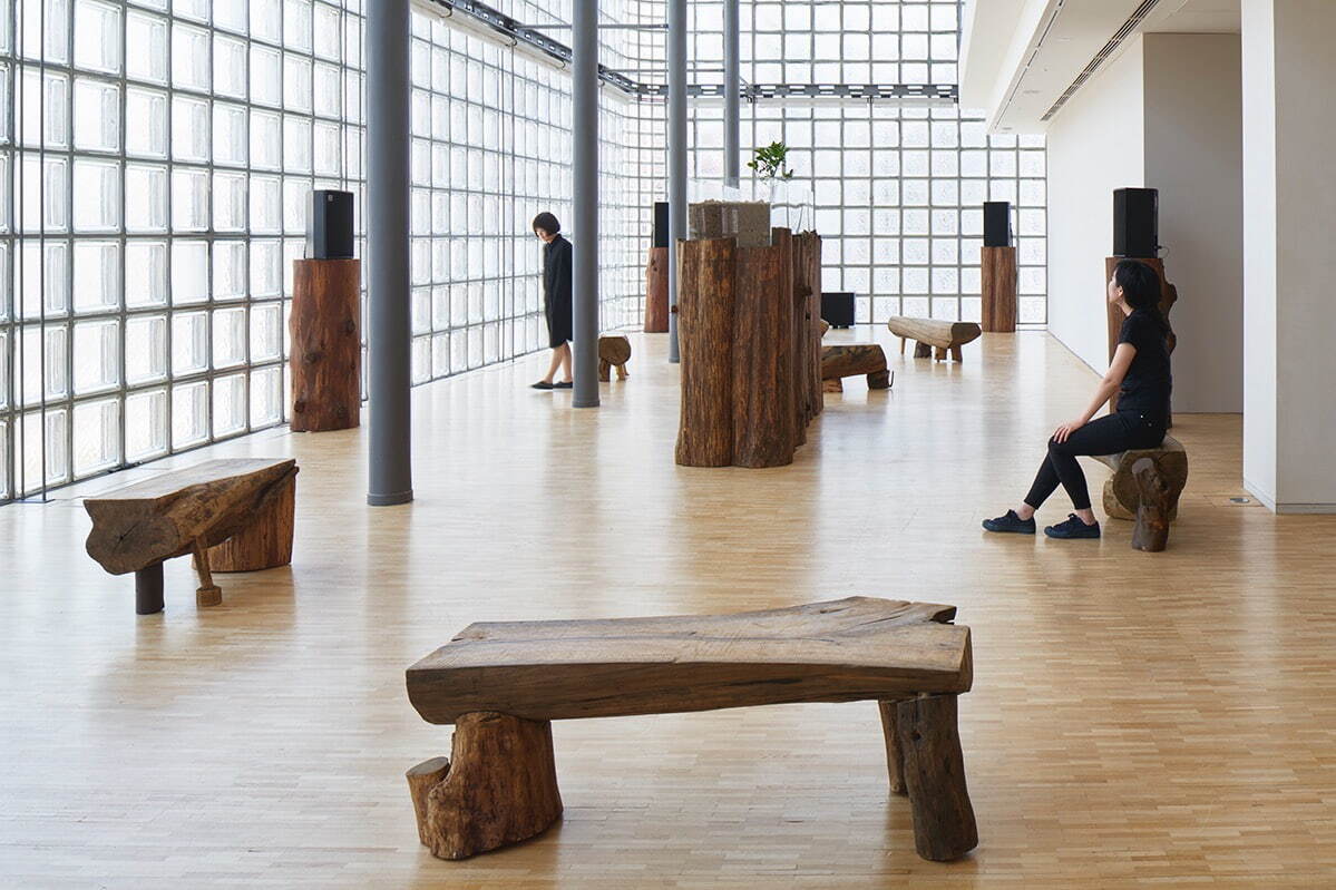 《育まれる展覧会》展示風景 2021年 フィル・ニブロックによる6つの楽曲、福岡正信自然農園の土・甘夏の苗、木の台座、スピーカー、木のプランター、アクリルケース、水、太陽光