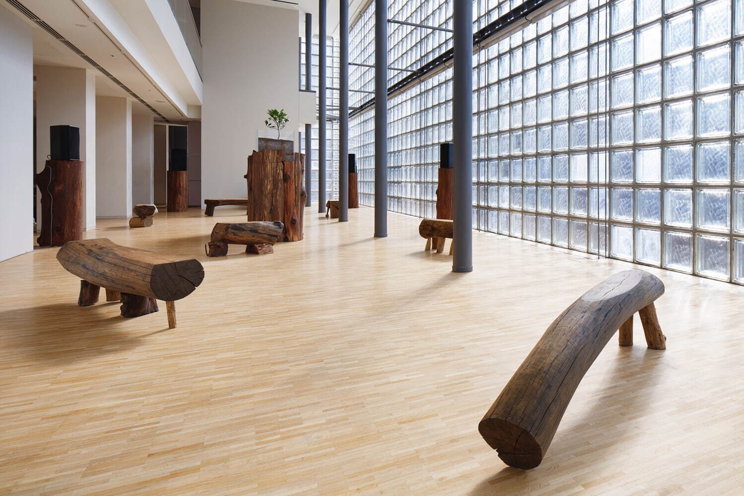 《育まれる展覧会》展示風景 2021年 フィル・ニブロックによる6つの楽曲、福岡正信自然農園の土・甘夏の苗、木の台座、スピーカー、木のプランター、アクリルケース、水、太陽光