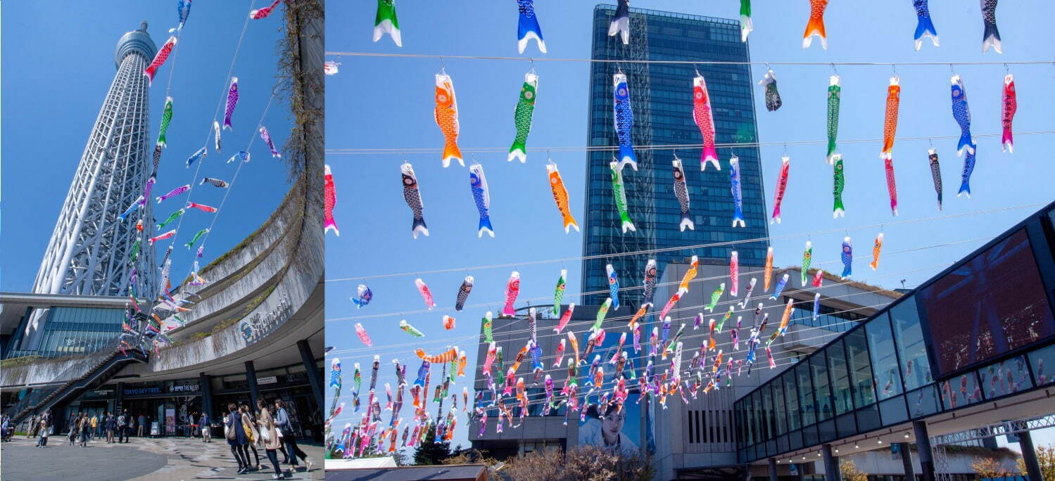 東京スカイツリータウン“都内最大級”約1,000匹のこいのぼりが泳ぐ「こいのぼりフェスティバル」｜写真3