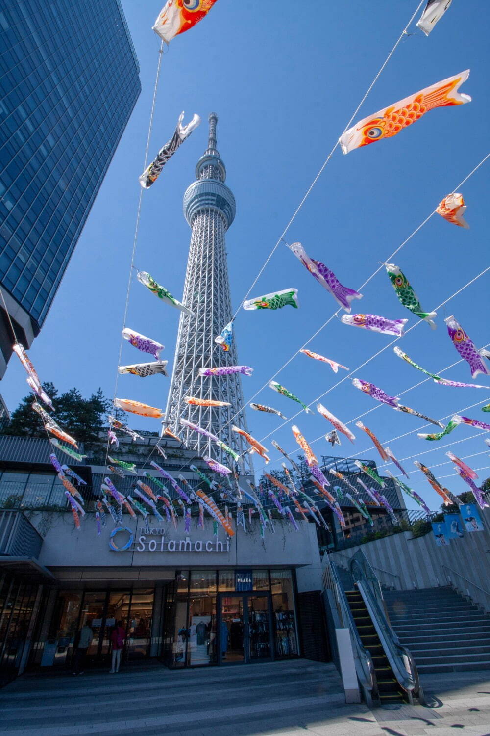 東京スカイツリータウン“都内最大級”約1,000匹のこいのぼりが泳ぐ「こいのぼりフェスティバル」｜写真4