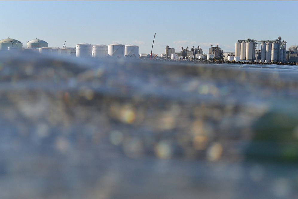 「千の葉の芸術祭」