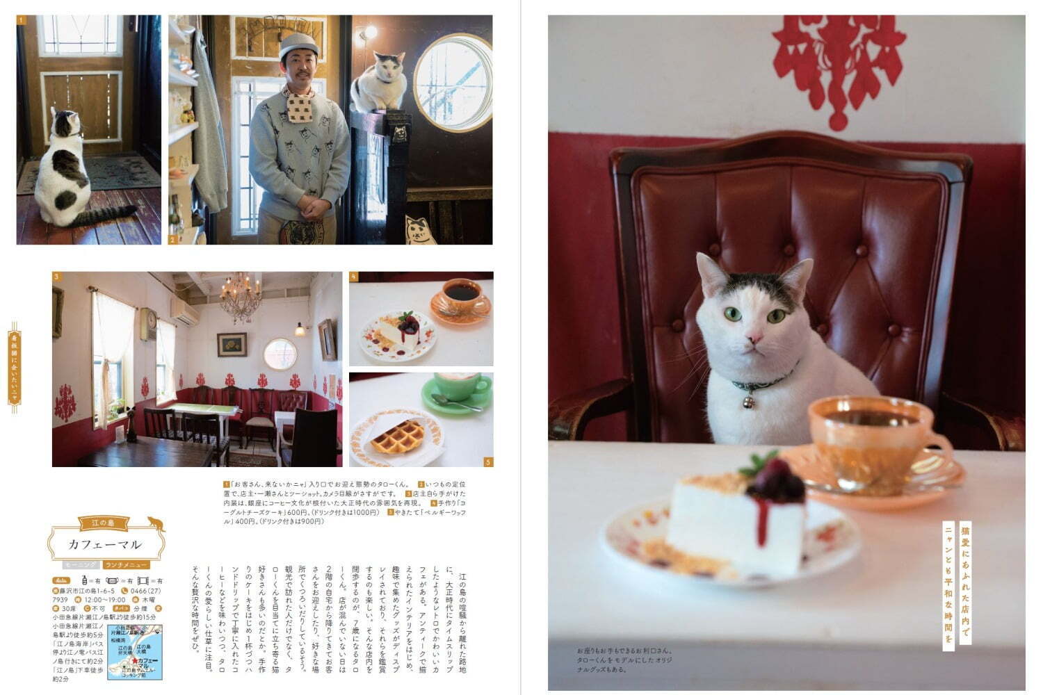 書籍『喫茶店の本 横浜・鎌倉・湘南』名喫茶のパフェ