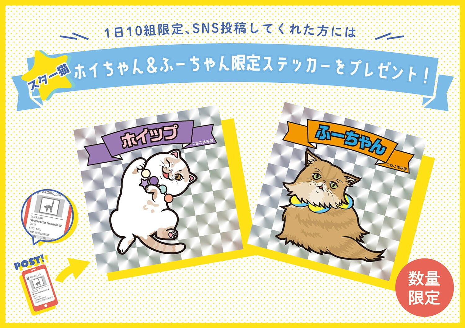 猫の合同写真展「ねこ休み展」千葉・柏タカシマヤで、ほっこり癒し系猫写真を展示＆グッズ販売も｜写真11