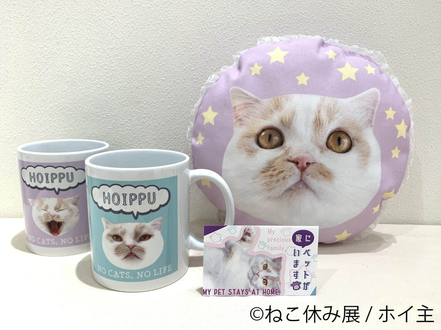 【ホイ主】マグカップ 各1,650円、猫⽤ミニクッション 2,750円