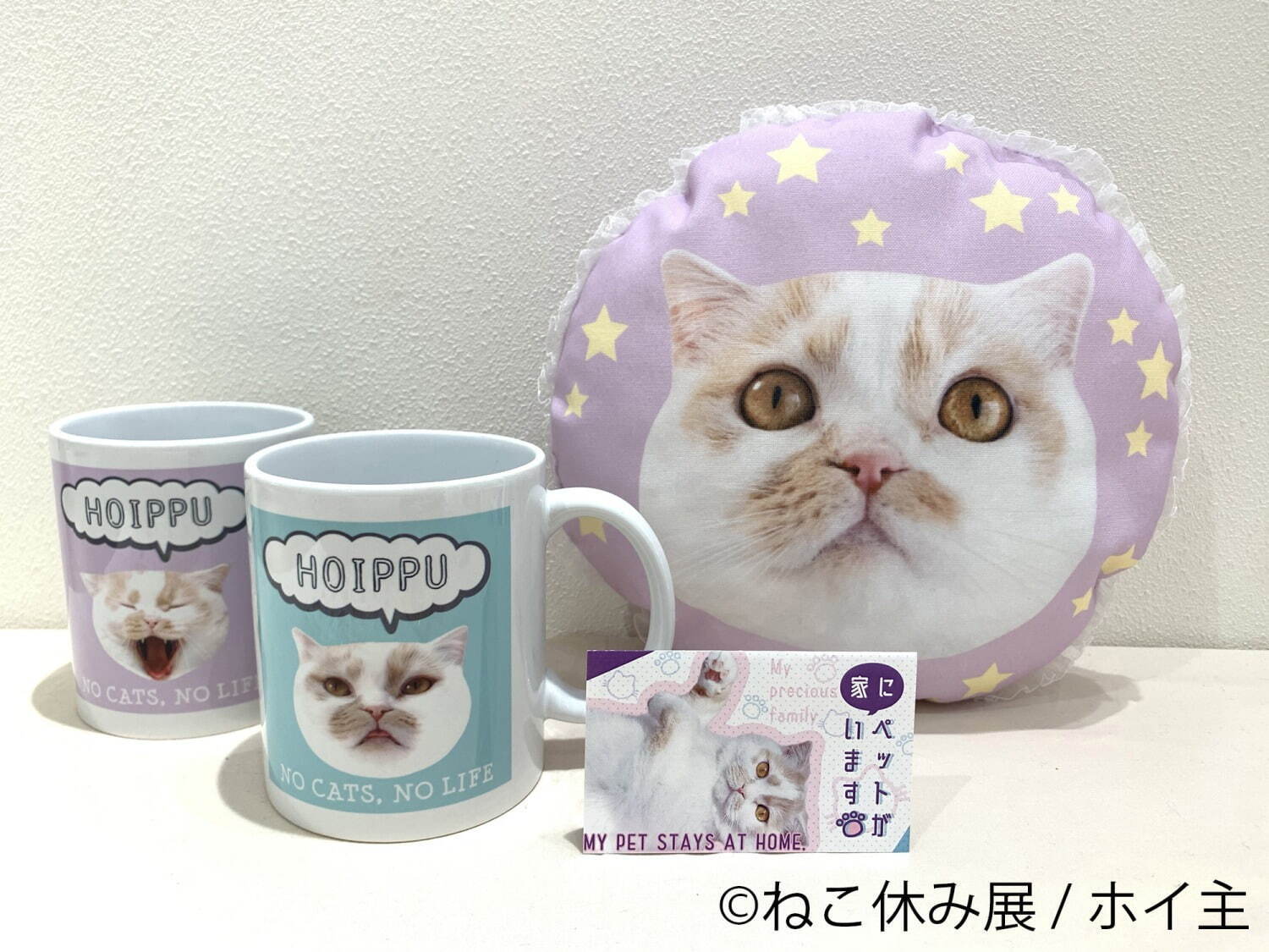 猫の合同写真展「ねこ休み展」千葉・柏タカシマヤで、ほっこり癒し系猫写真を展示＆グッズ販売も｜写真19