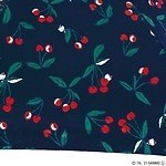 Wpc. “サンリオキャラクターズ”のミニ日傘・雨傘、ポチャッコやハローキティのハート柄｜写真10