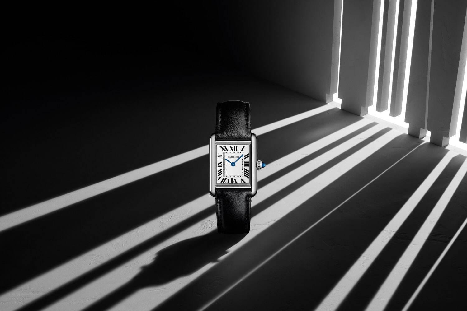 カルティエ(Cartier) タンク マスト タンク マスト｜写真8