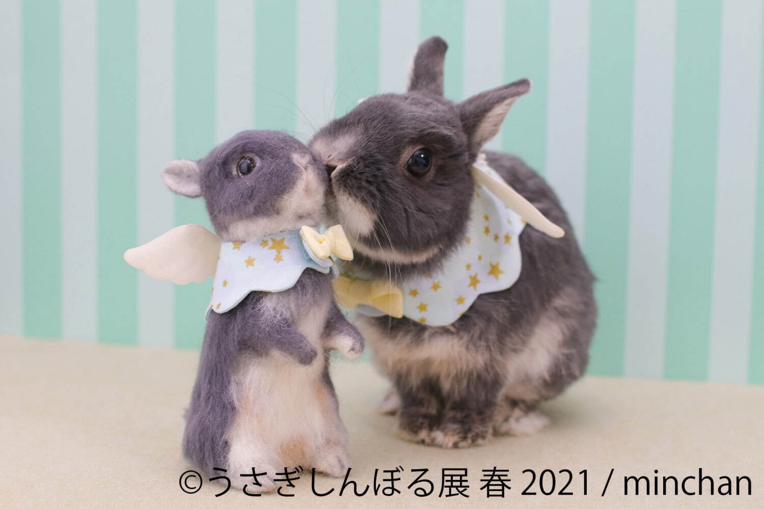 うさぎの合同写真展「うさぎしんぼる展」名古屋で、250点以上の癒やし作品＆限定グッズ販売｜写真6