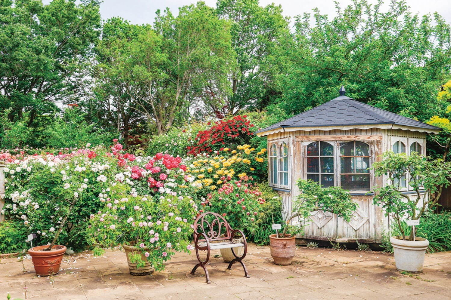 京成バラ園、1,600品種1万株の薔薇が咲き誇る「スプリングフェスティバル」薔薇を使った巨大アートも｜写真2