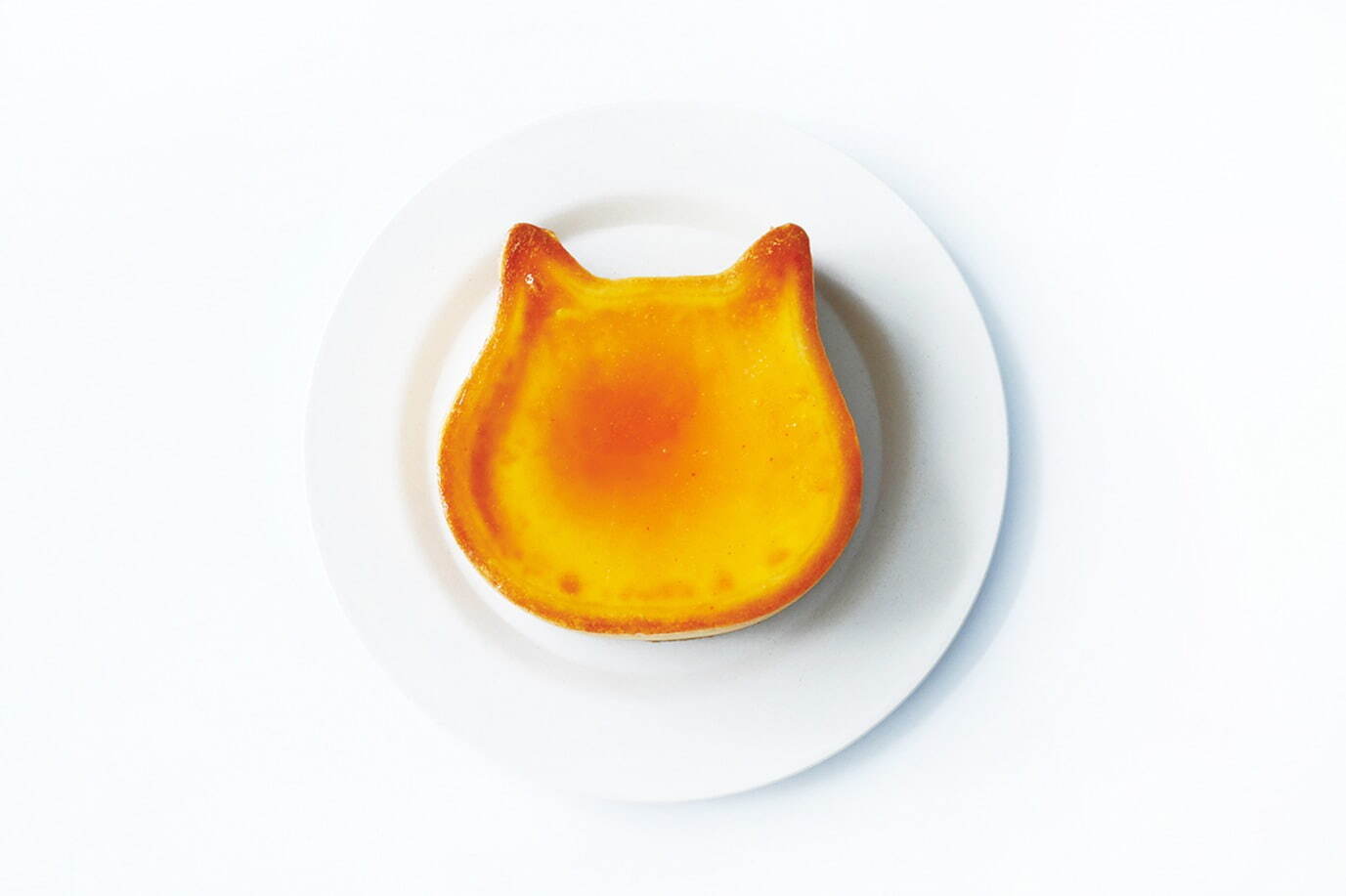 ねこねこチーズケーキ(NEKO NEKO CHEESECAKE) にゃんチーみかん｜写真4