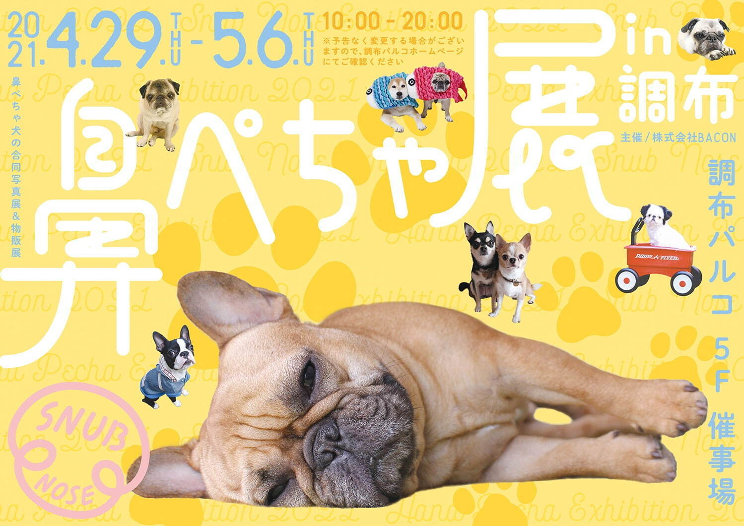 “鼻ぺちゃ犬”の合同写真展＆物販展が調布パルコで、“ぶひ可愛い”犬作品やグッズ集結｜写真19