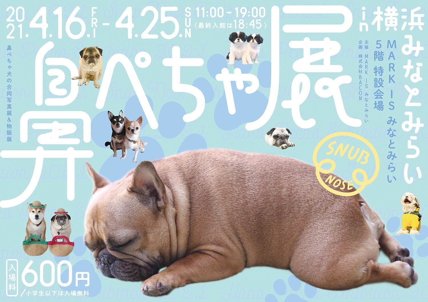“鼻ぺちゃ犬”の合同写真展＆物販展が調布パルコで、“ぶひ可愛い”犬作品やグッズ集結｜写真17
