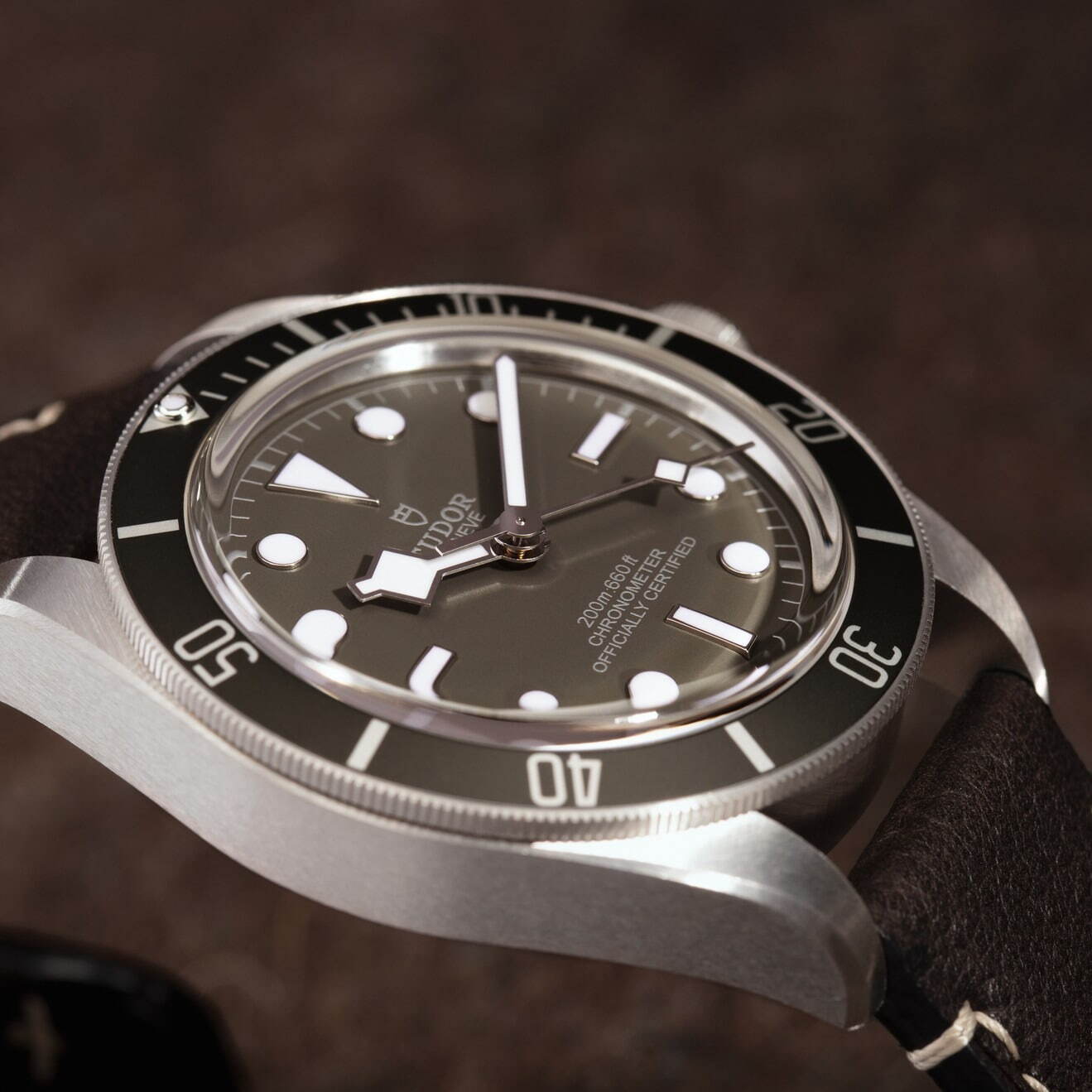 チューダー(TUDOR) ブラックベイ フィフティ-エイト｜写真7