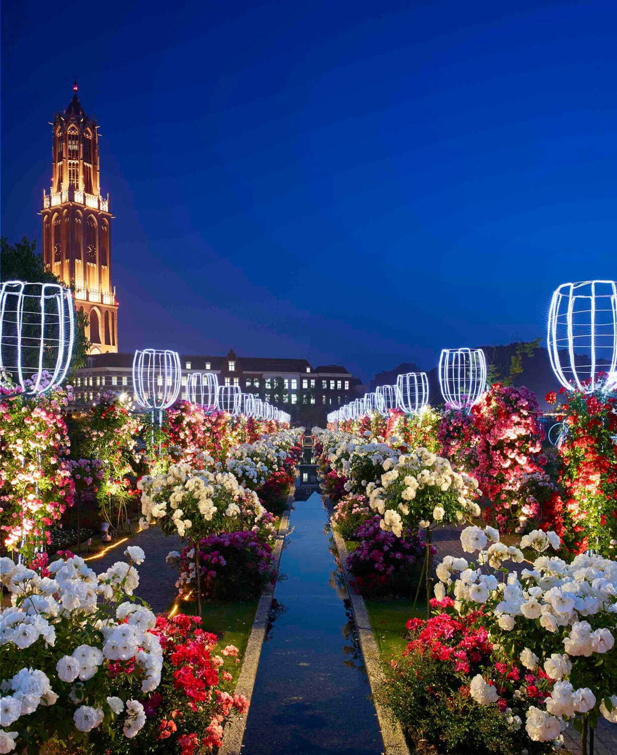 ハウステンボス「バラ祭」ヨーロッパの街に咲き誇るバラの花100万本2000品種｜写真3