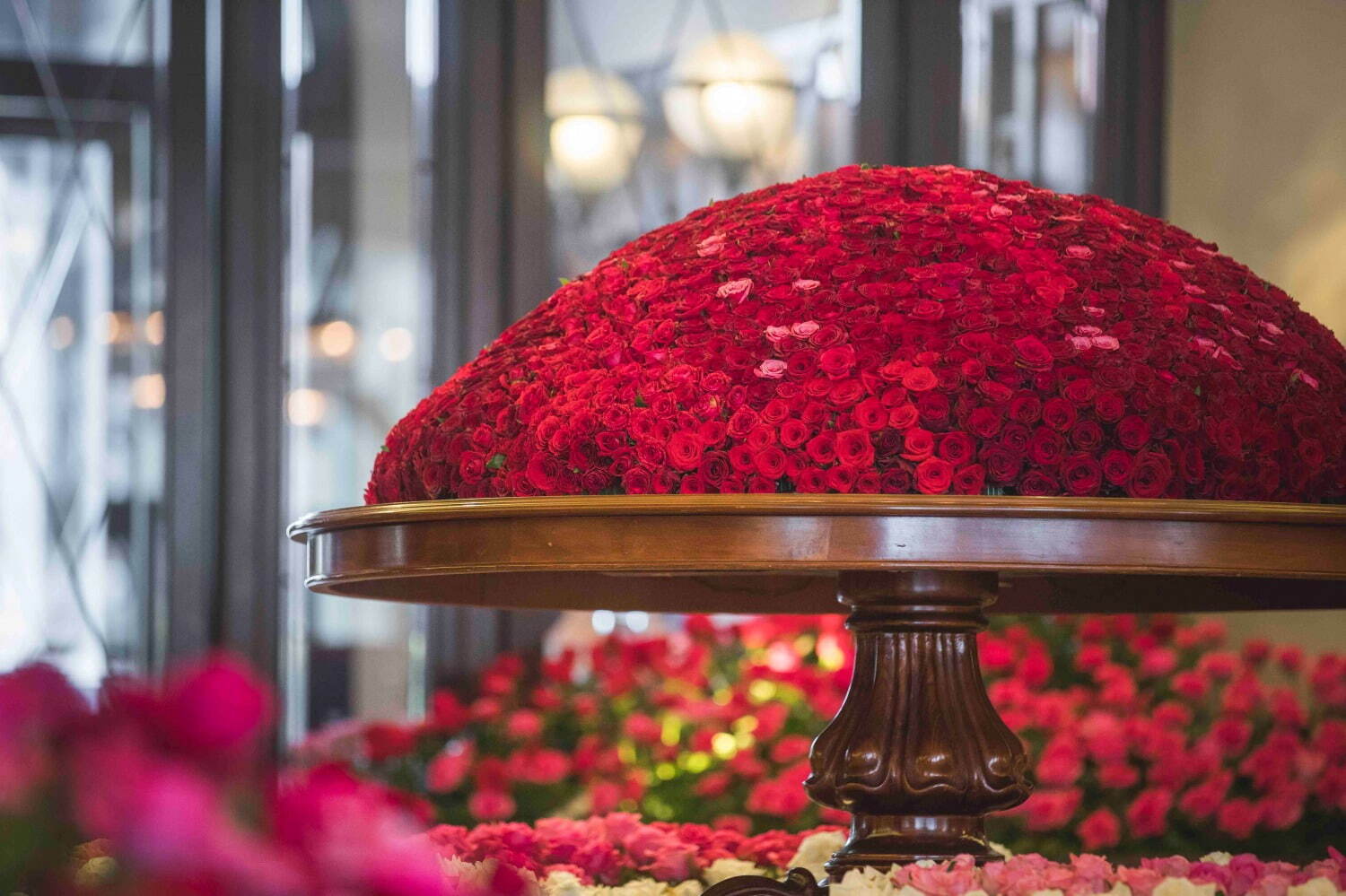 ハウステンボス「バラ祭」ヨーロッパの街に咲き誇るバラの花100万本2000品種｜写真5