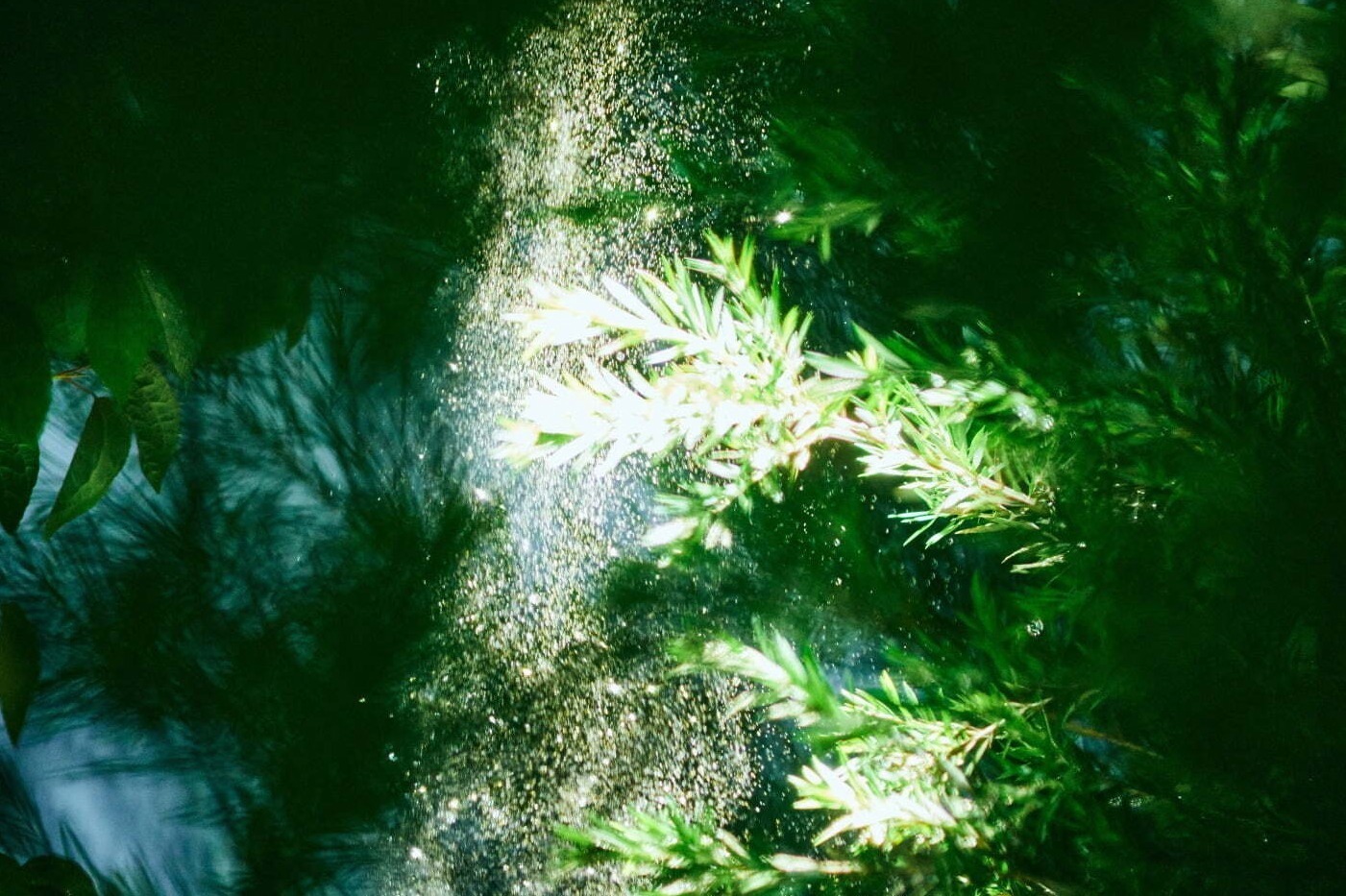 東京都現代美術館「ユージーン・スタジオ」