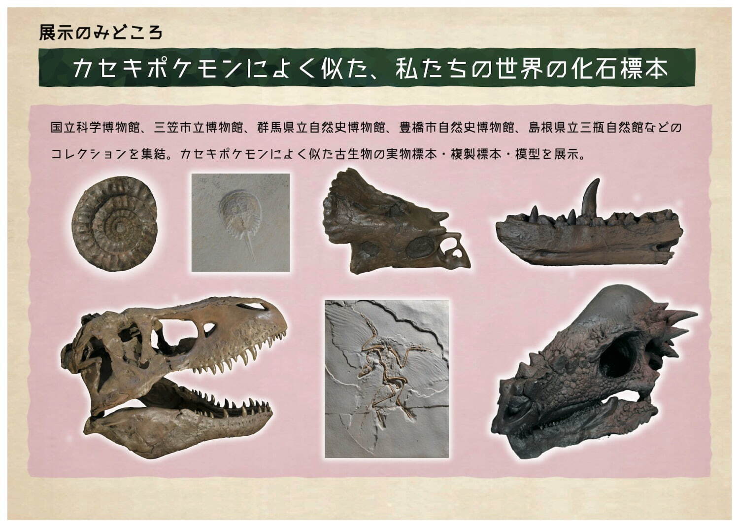 巡回展「ポケモン化石博物館」開催、カセキポケモンの骨格想像図や実物大模型も｜写真6