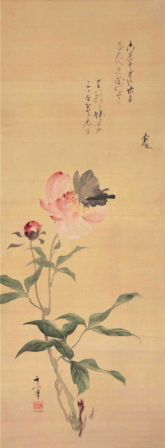鈴木其一「蝶ニ芍薬図」江戸時代 板橋区立美術館蔵