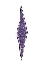 アクネ ストゥディオズ“ペイズリー柄バンダナ”モチーフの新作シャツやパンツ、ハット｜写真19