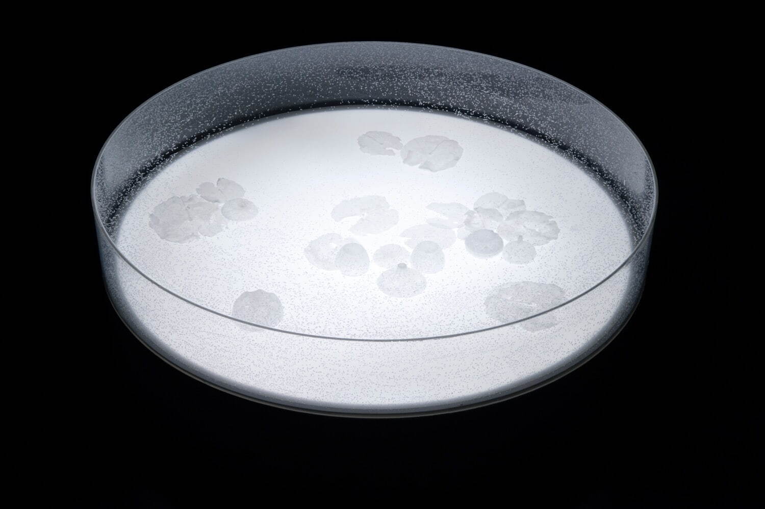 宮永愛子「第3回shiseido art egg 宮永愛子展 地中からはなつ島」2009年より 撮影：加藤健［参考作品］