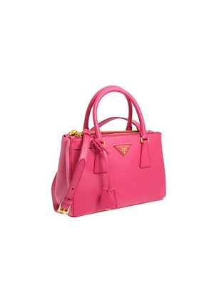 w300_prada-bag01.jpg