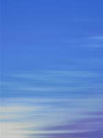 ミューラル、“ミルフィーユの層”着想のサマーニット＆“樹木の年輪”をプリントしたシャツなど｜写真42