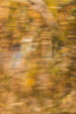 マメ クロゴウチ 2021年プレフォールコレクション - 夕暮れの京の都、格子窓の光をたよりに｜写真13