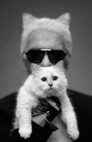 KARL | Démodée Official Site/デモデの公式ページ