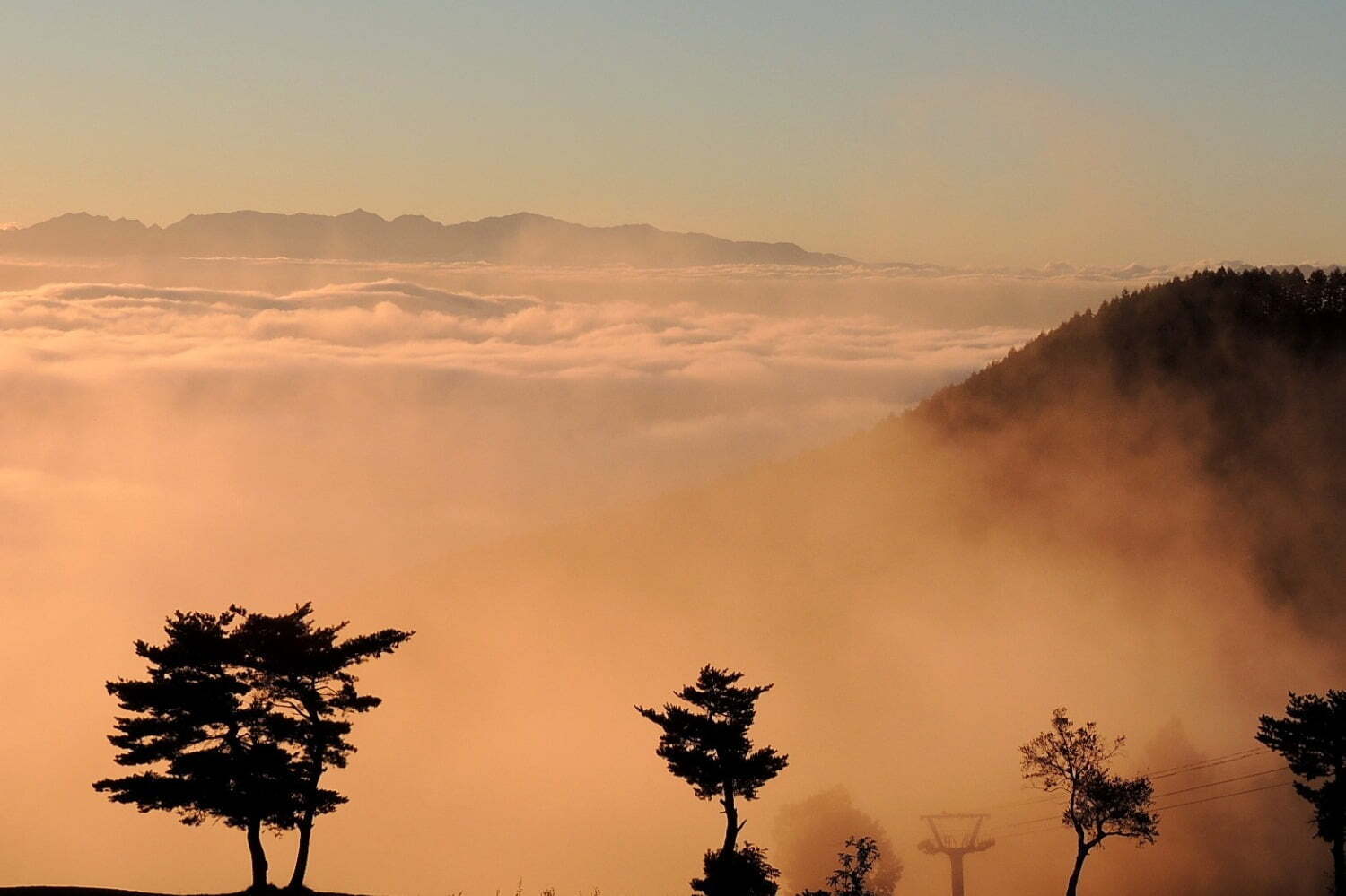 リワイルド ゼッケイ グランピング リゾート: 2021年5月1日〜オープン