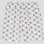 ポール & ジョー(PAUL & JOE), ユニクロ(UNIQLO) UT｜写真30