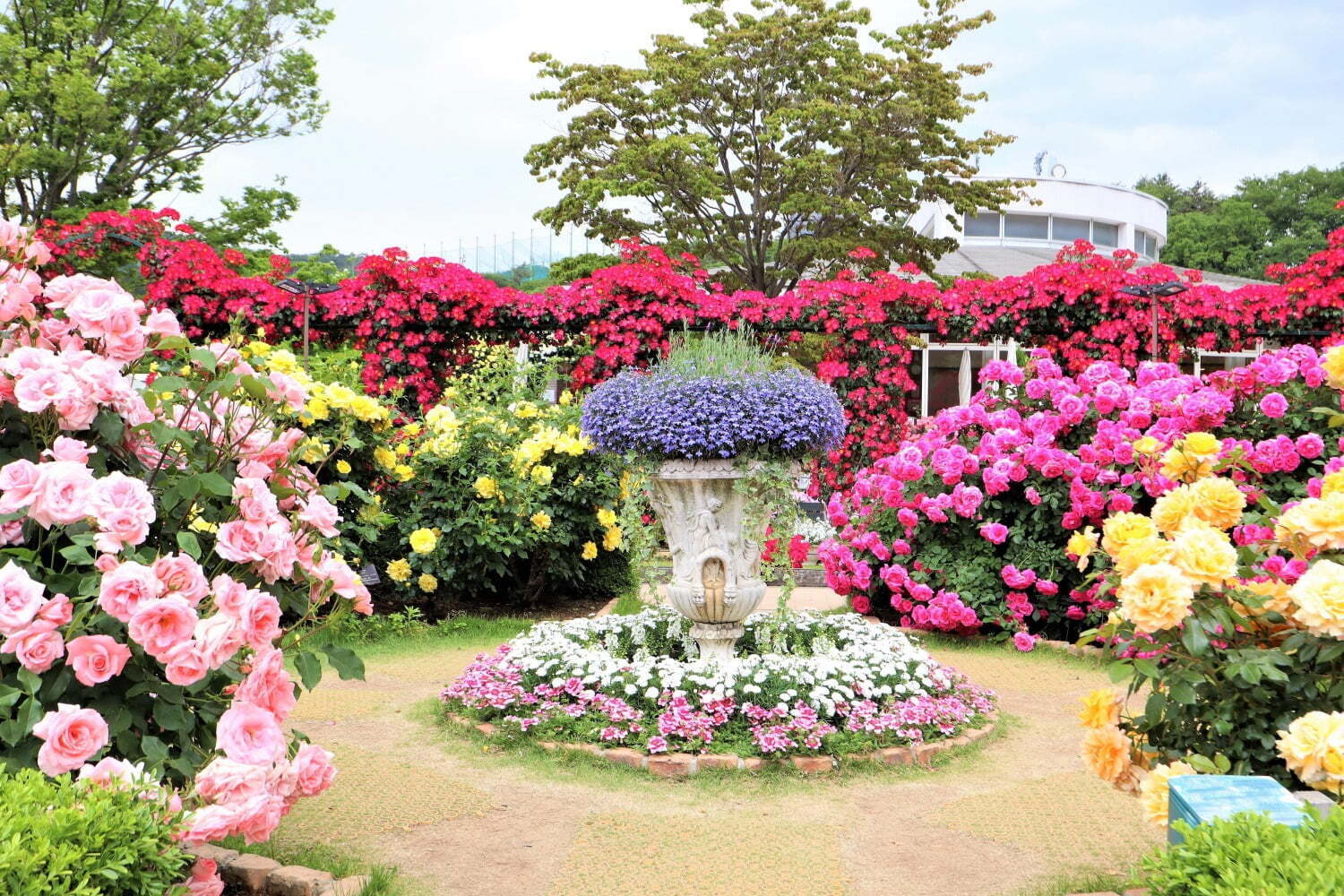 フラワーパーク(花庭園)｜栃木・あしかがフラワーパーク「春のバラまつり」500種2500株のバラが見頃に、夜間ライトアップも