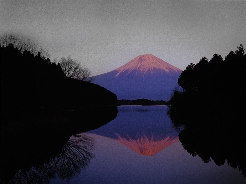 Pine and Mt.Fuji (Kawaguchi-ko Lake) ©Mineko Orisaku