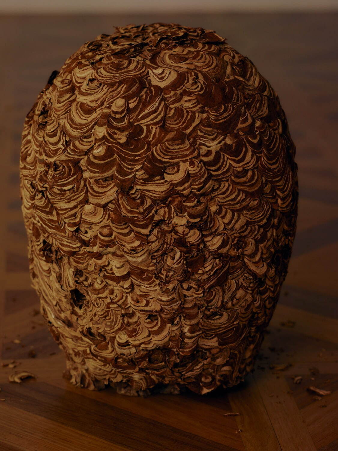 マリオン ヴィンテージ(MALION vintage) 2021-22年秋冬ウィメンズコレクション  - 写真11