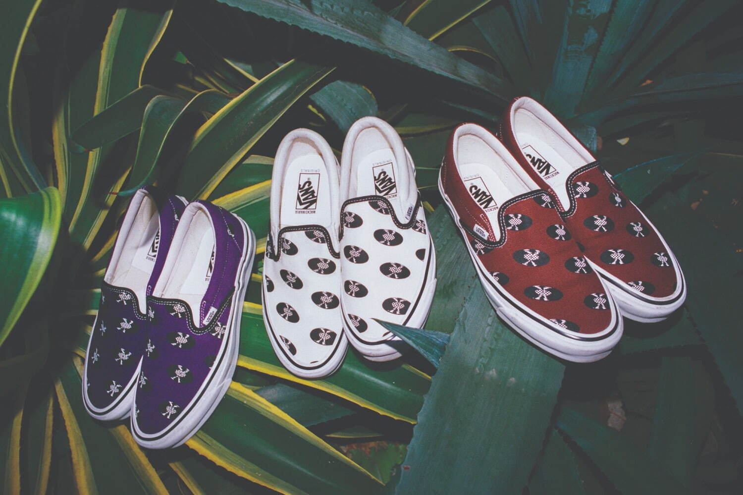 ワコマリア(WACKO MARIA), ヴァンズ(VANS) レコード柄｜写真10