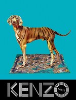 KENZO(ケンゾー)2013-14秋冬の広告で、菊地凛子が標本に!?｜写真7